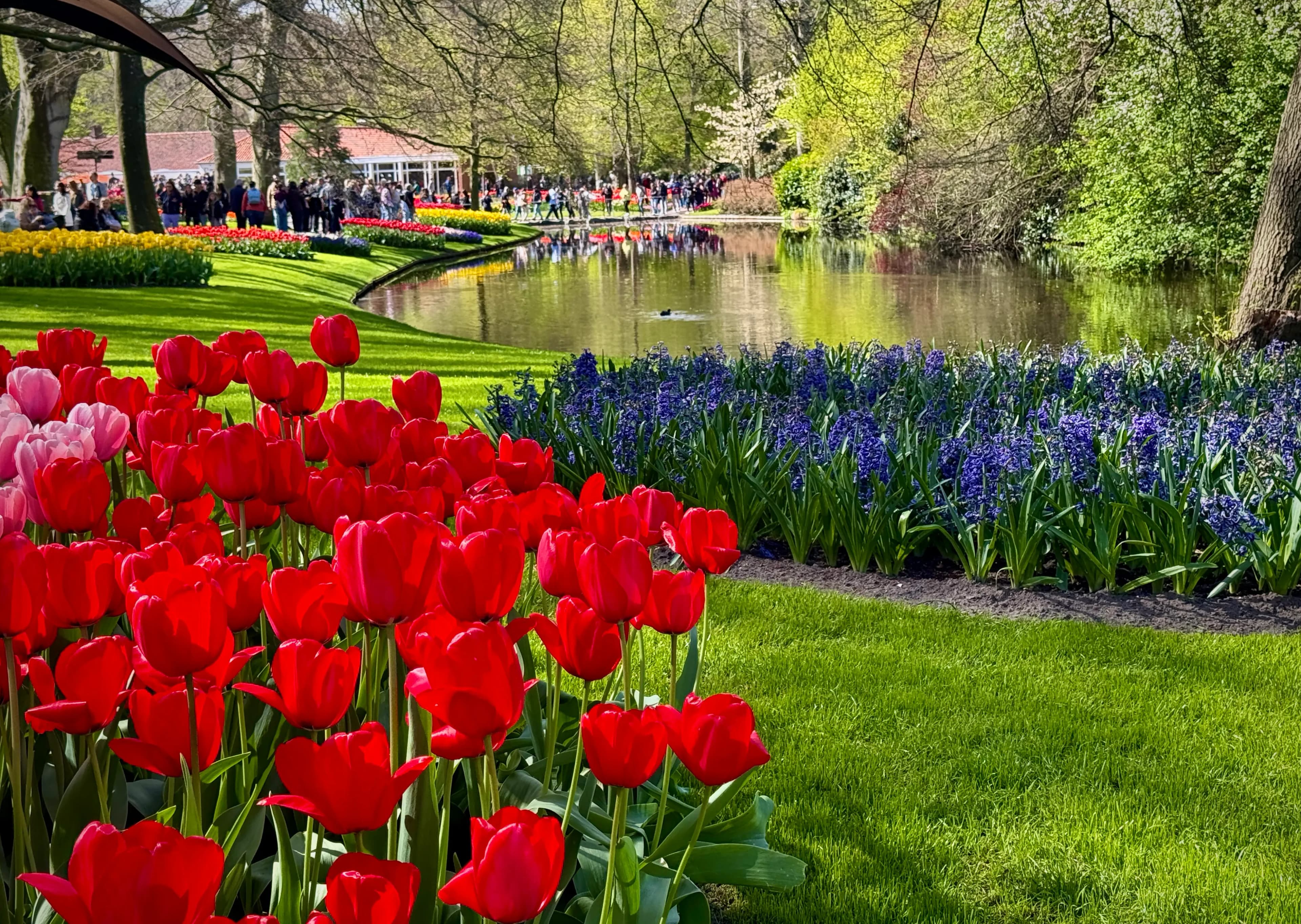 25 Things to Do in Amsterdam in Spring