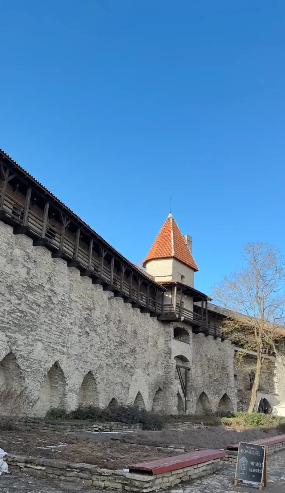 Alt text for the image