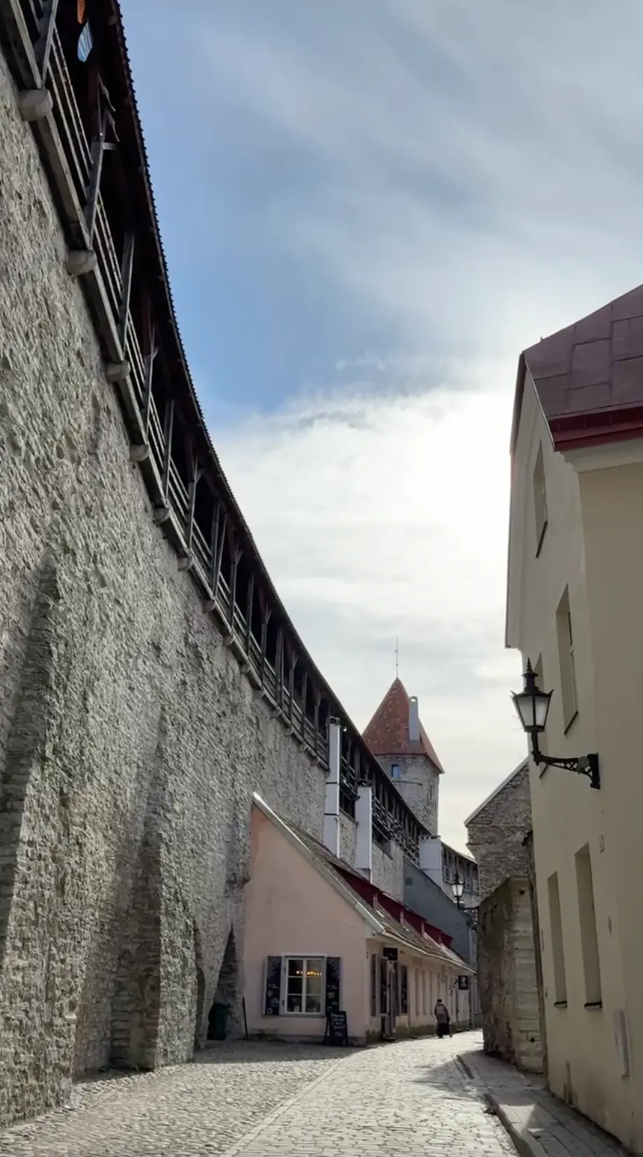 Alt text for the image