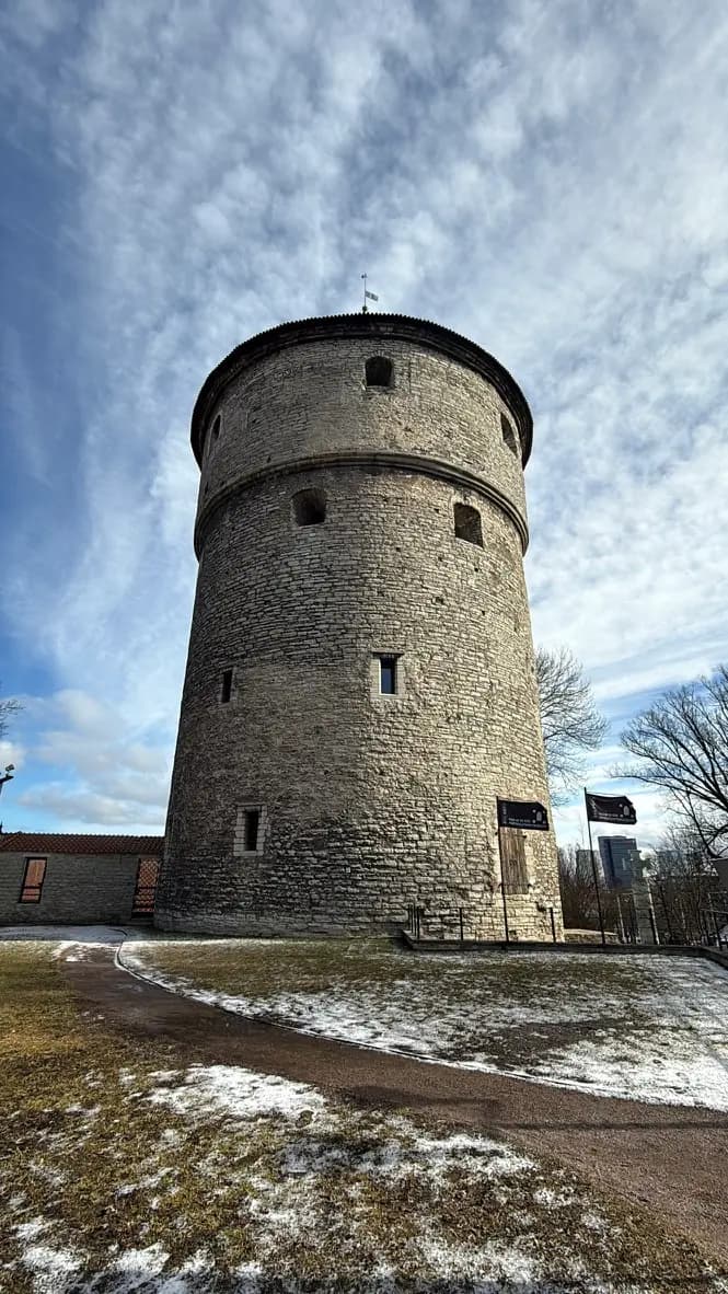 Alt text for the image