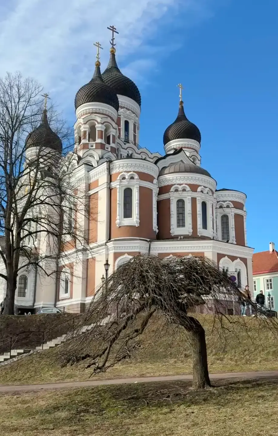 Alt text for the image