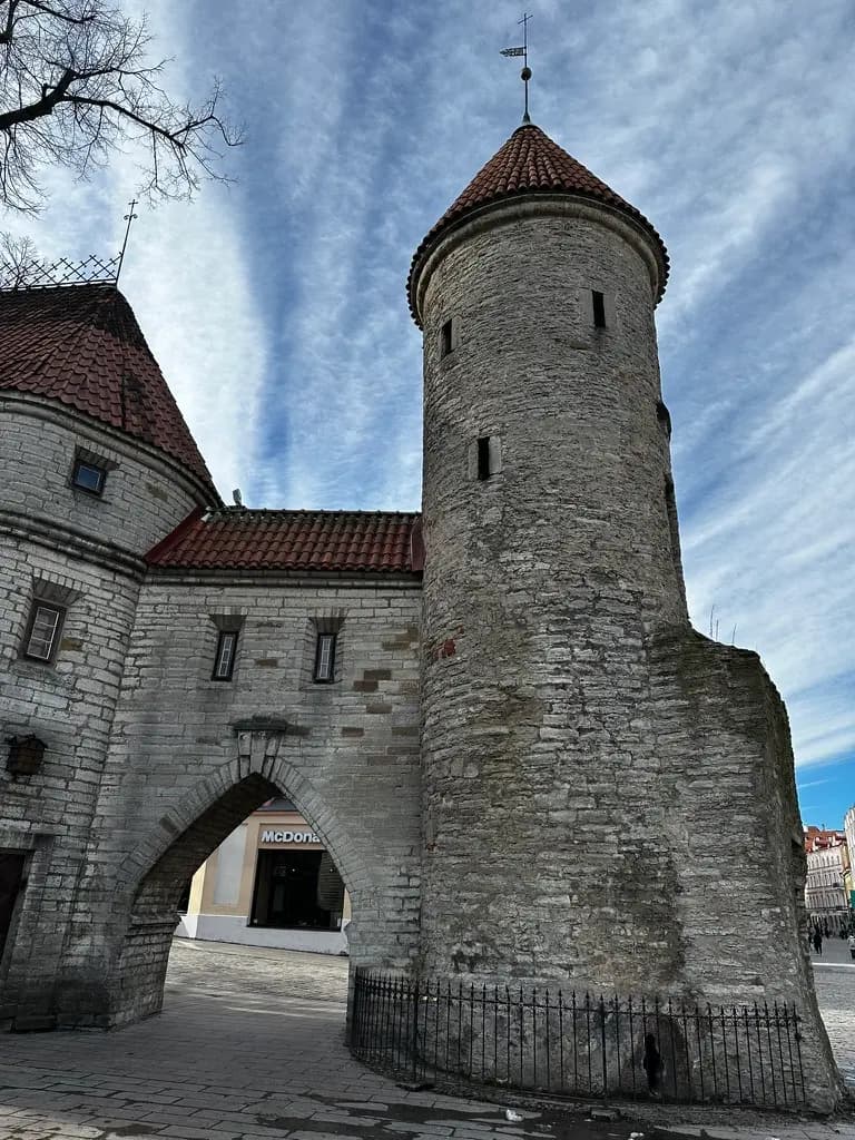 Alt text for the image